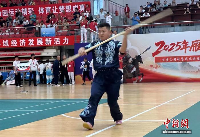 对杨家将武